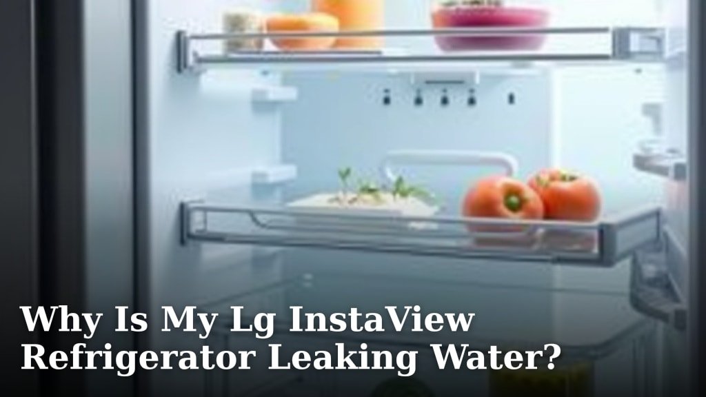 Why Is My Lg InstaView Refrigerator Leaking Water?